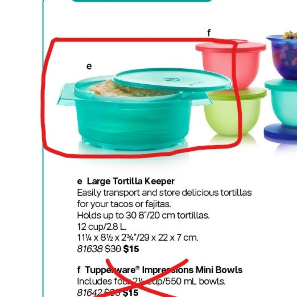 Tupperware Large Tortilla Keeper